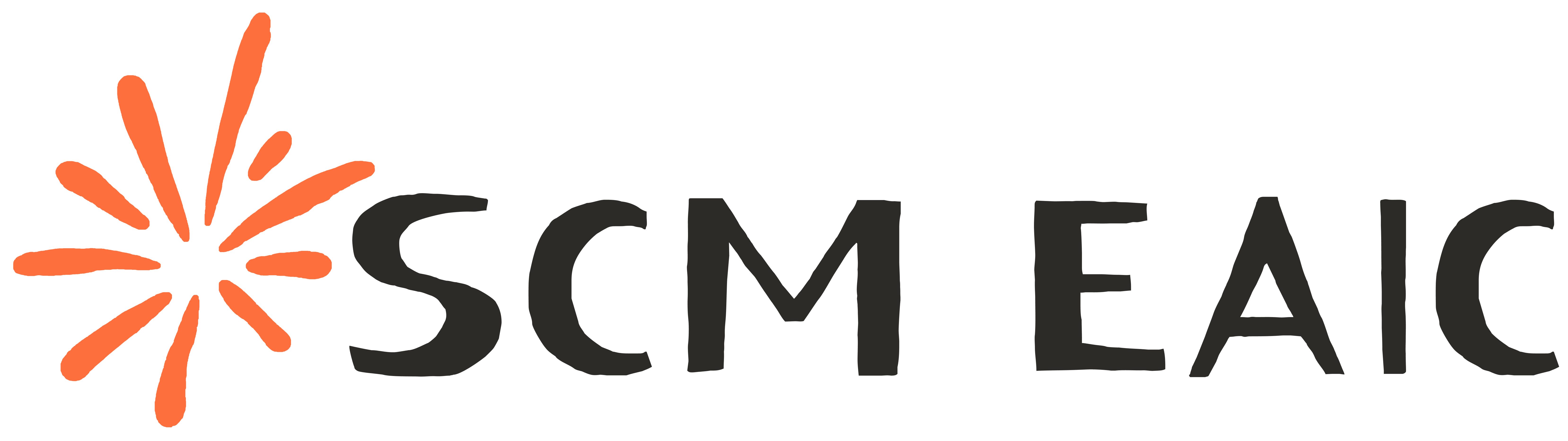 SCM EAIC 碳硅神话